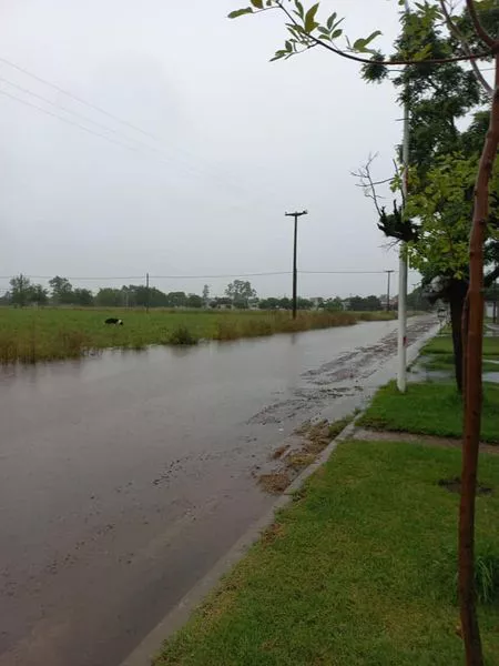 271724835_5097685216918849_6986657335061888171_n