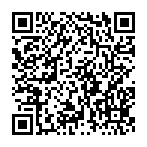 qrcode-generado