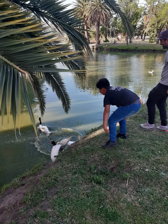 310981164_653230356165852_3485884169989592267_n