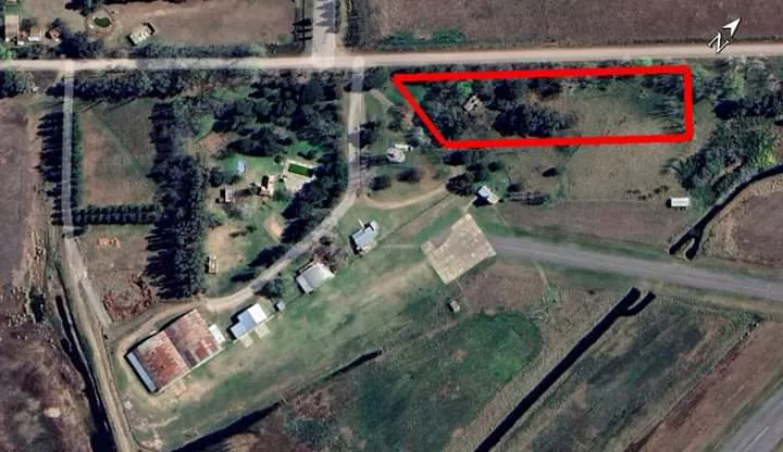 FB_IMG_1667331856145