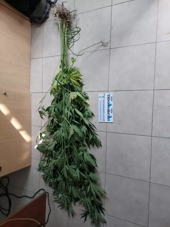 fdb2167a-1665-4cd7-a44e-e8eca6d9ddc5