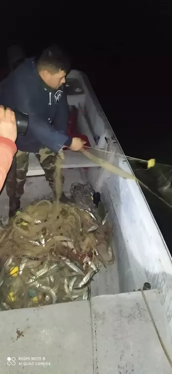 FB_IMG_1653349195675