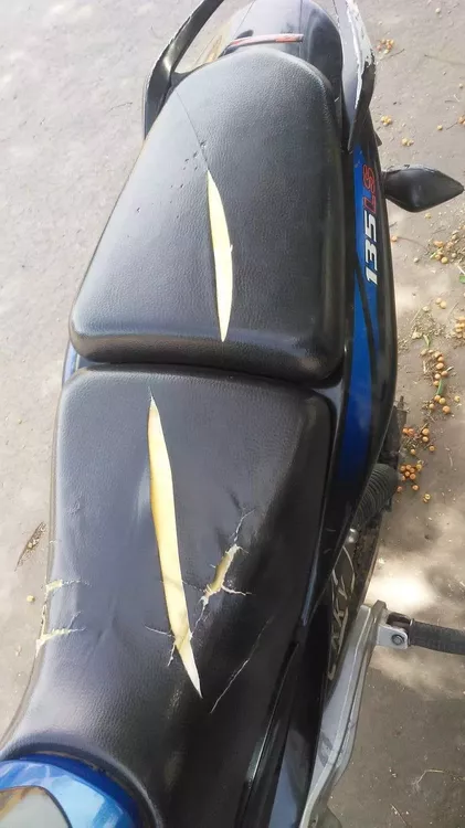 311300997_471480198334675_5763987245486862806_n