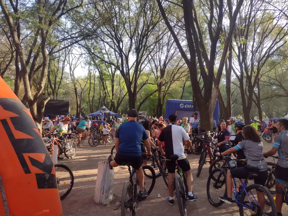 WhatsApp Image 2023-03-12 at 08.27.53