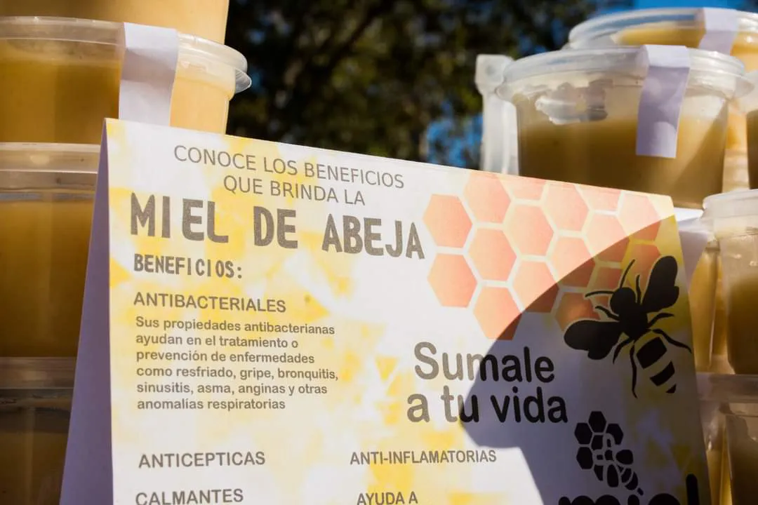 FB_IMG_1684463464826