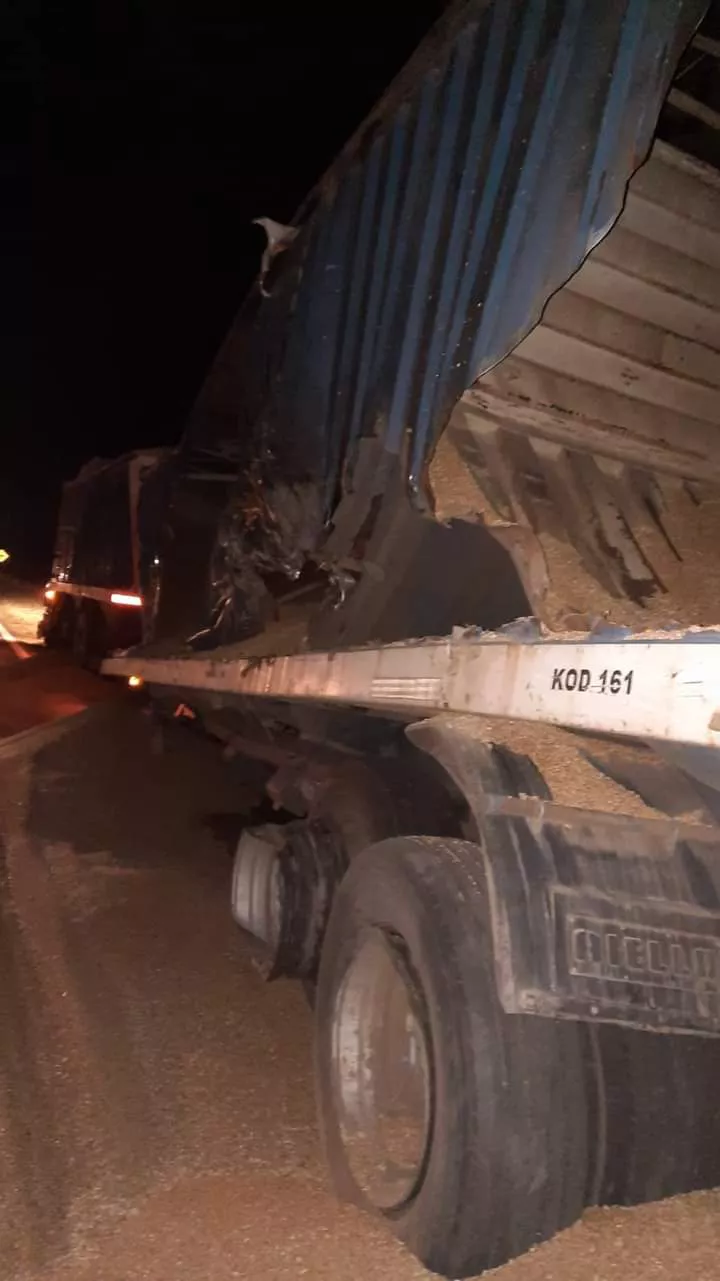 FB_IMG_1646877950005