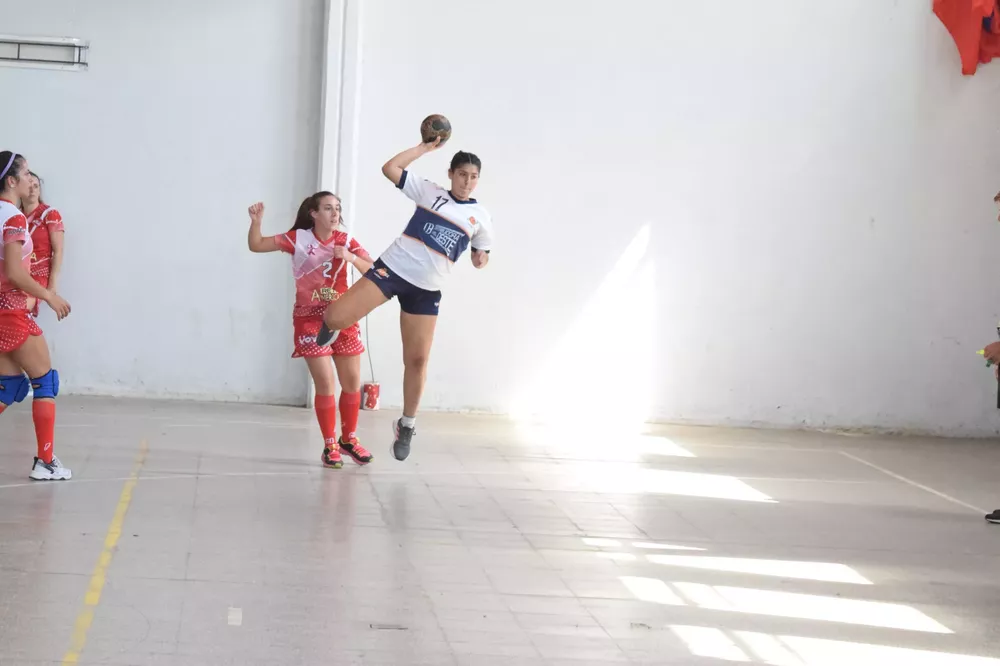 337150377_1730396487408068_8668862064260430845_n