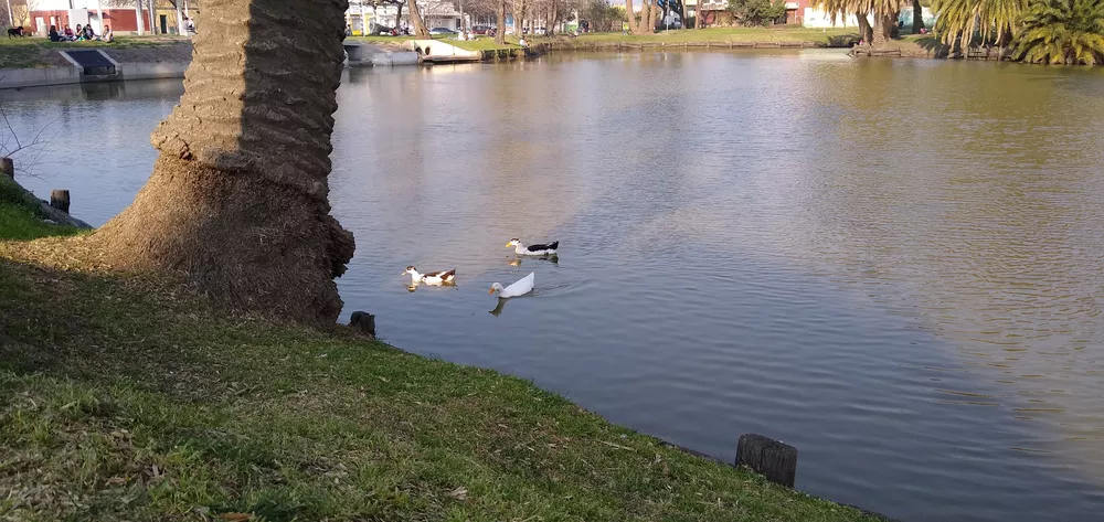 IMG_20210829_165238080