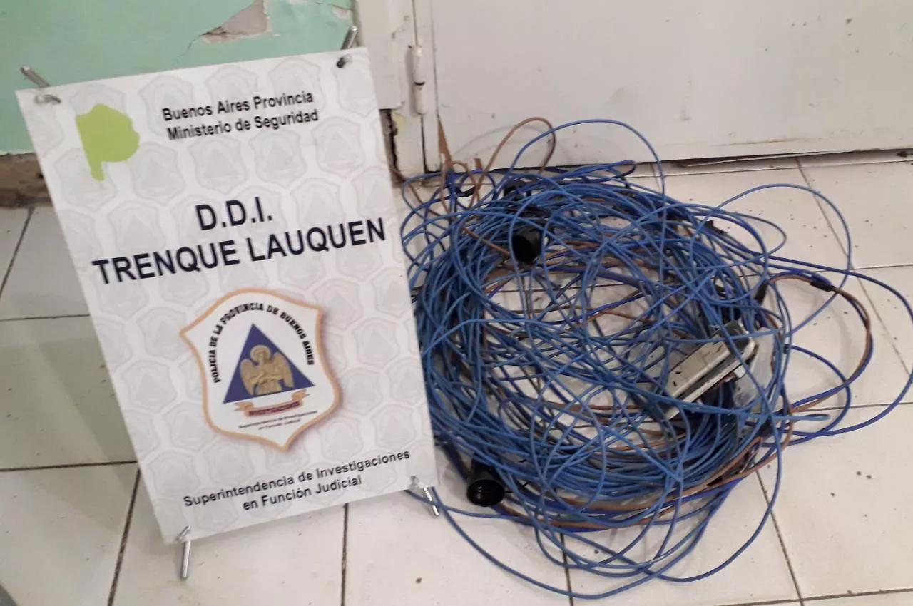 WhatsApp Image 2022-11-01 at 10.05.34