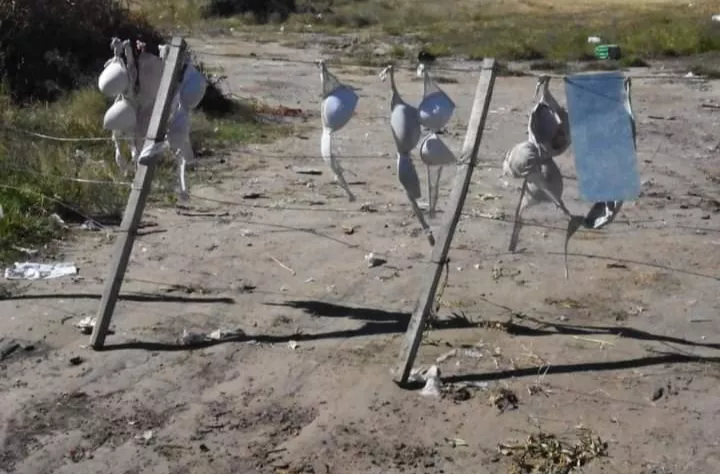 Screenshot_20220405-133542