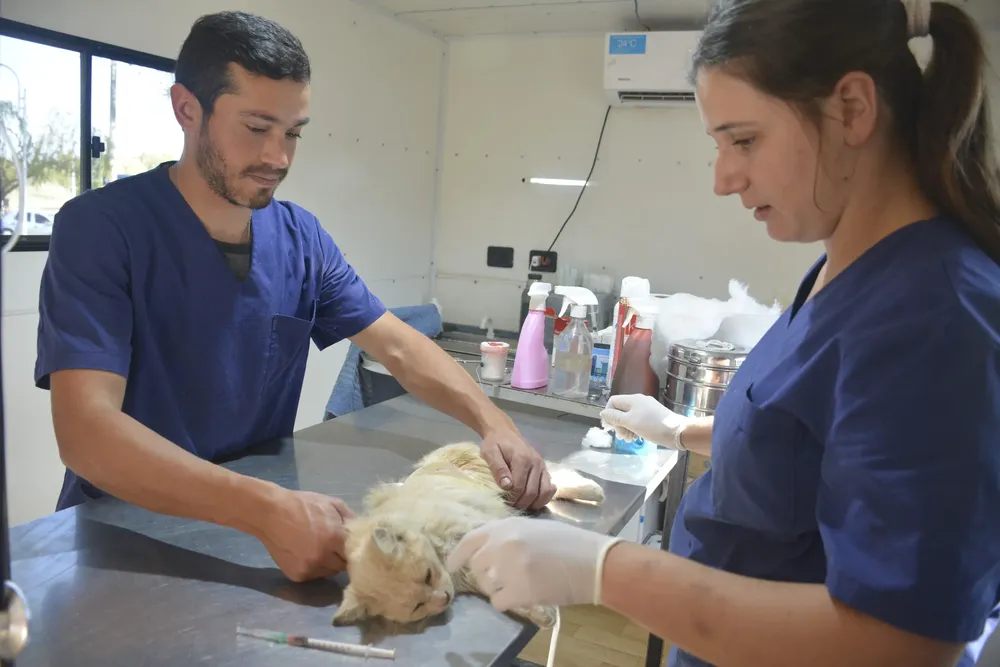 344162010_238236482192652_7076661196988743781_n