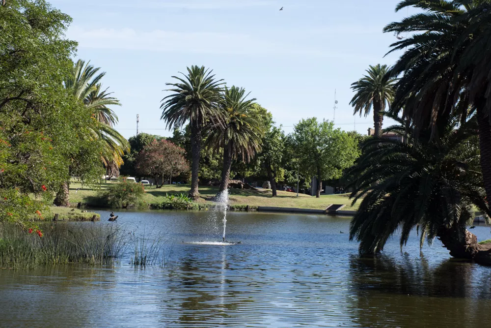 321663377_1231633934399886_7640489327961818458_n