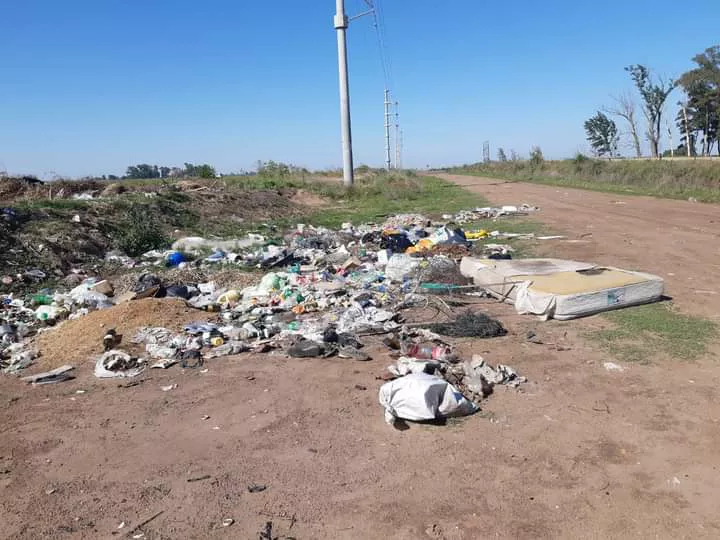 FB_IMG_1637510711769