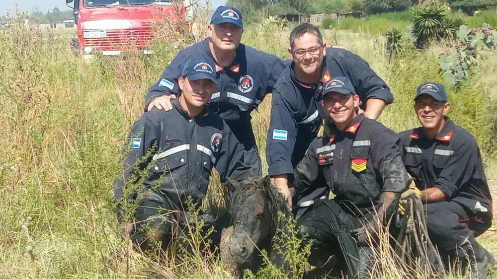 334289083_211030064779689_8703394413418252271_n