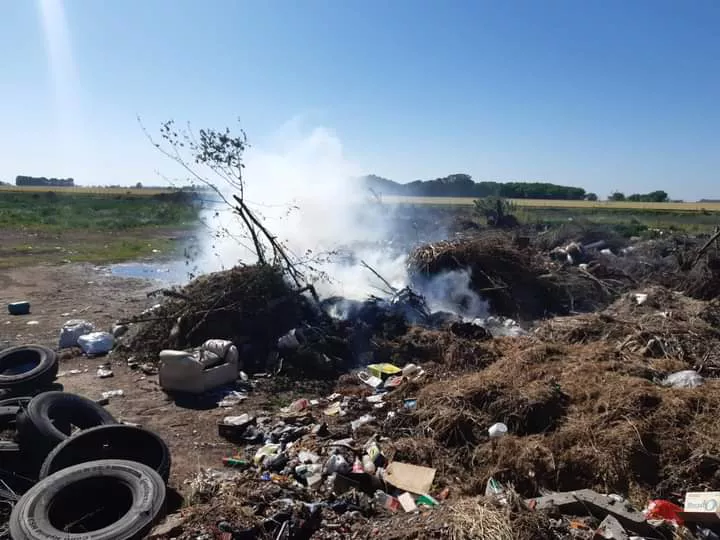 FB_IMG_1637510731096