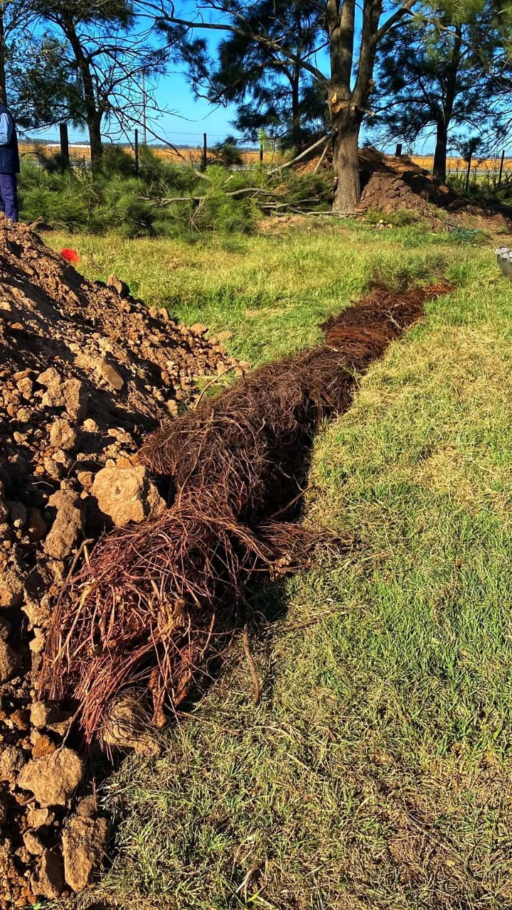 Operativo Acueducto 3 01 04 23