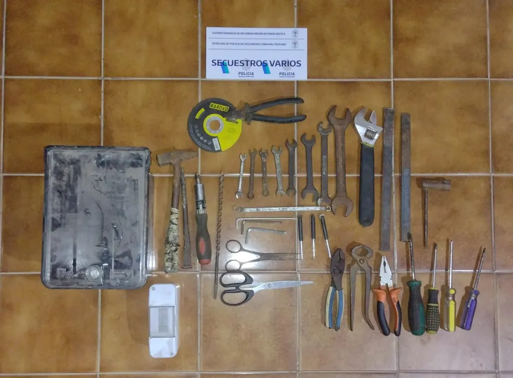 29ad32e1-bd0e-4bb3-8af1-5e9850fc9042