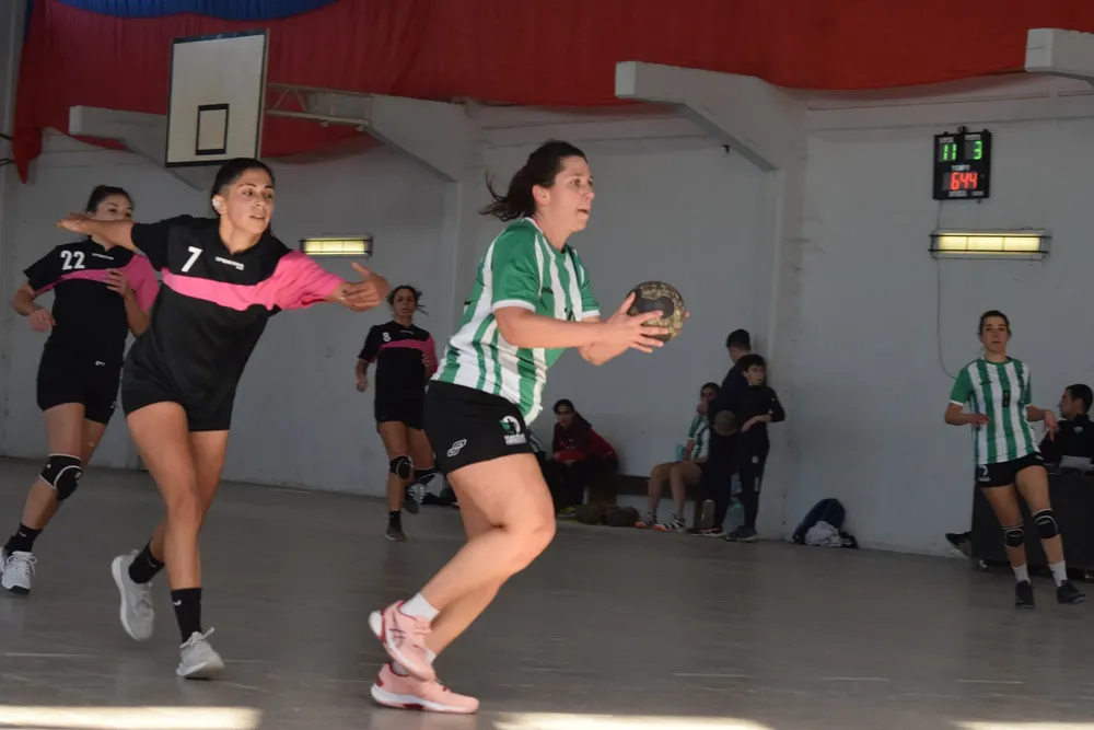 350345870_2559732811000161_2278253693350221114_n