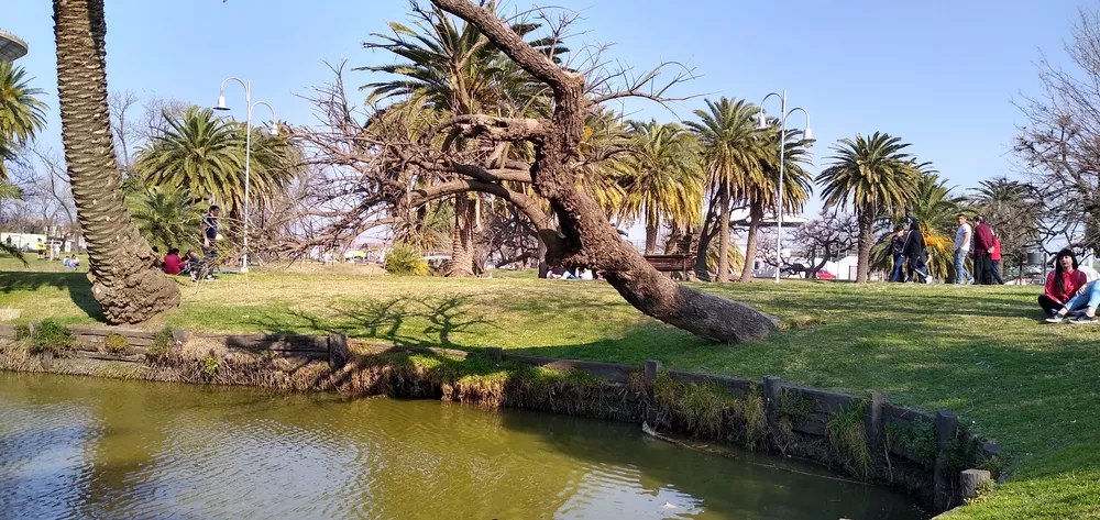 IMG_20210829_155019104_HDR