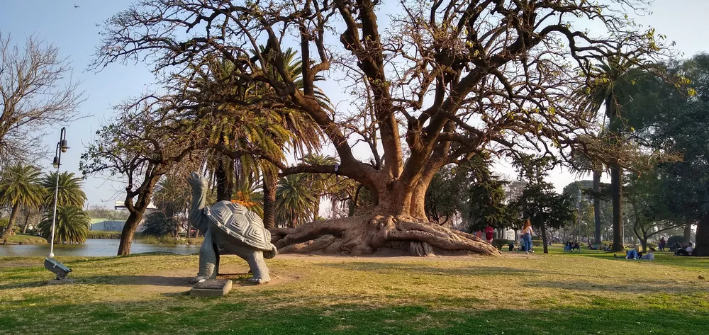 IMG_20210829_165459313_HDR