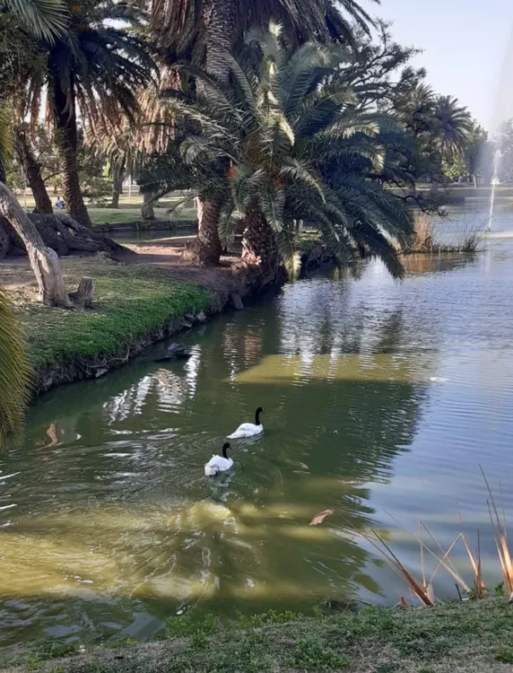 310472252_653230402832514_962577352681008380_n