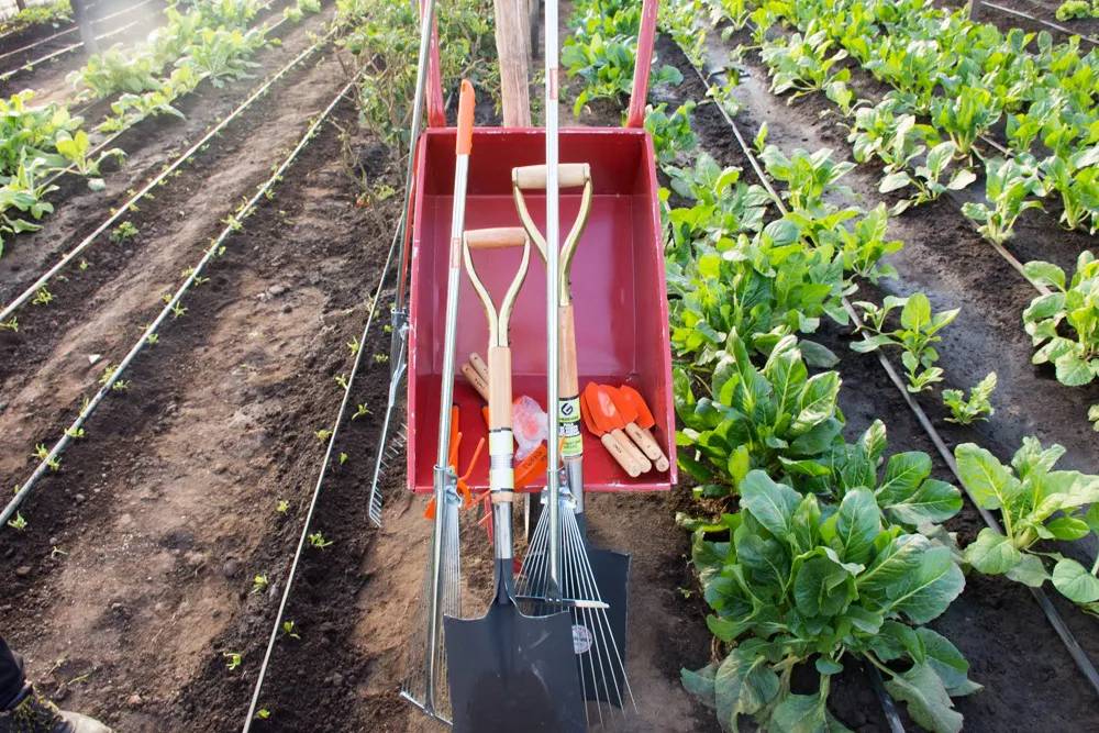 352995256_699770032189866_943827432811078580_n