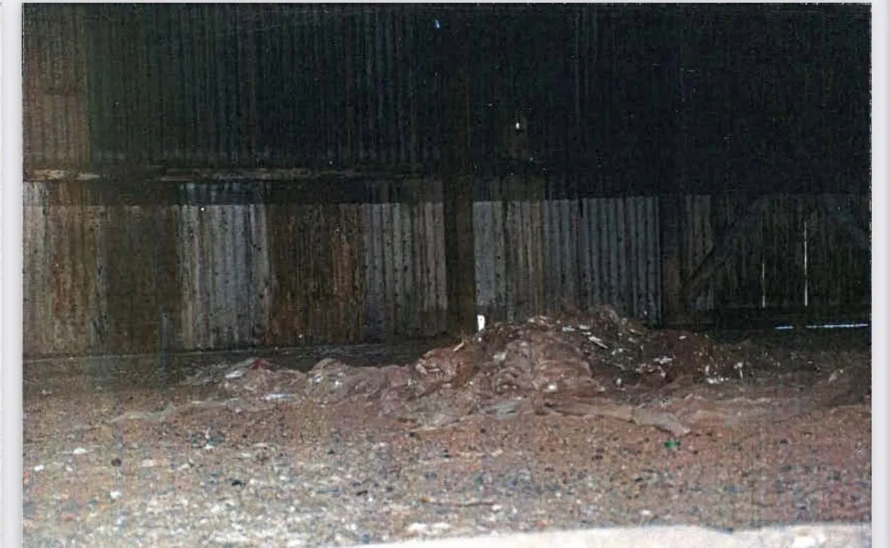 373670457_850883599733859_3548288479443259268_n