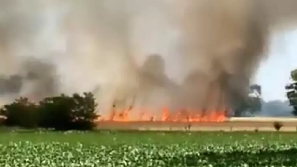 Capture 2021-12-21 19.41.49