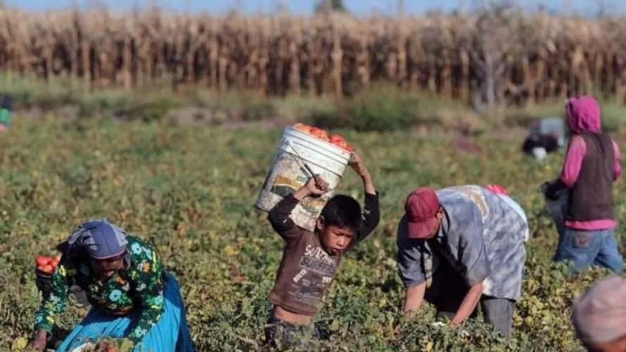 trabajo-infantil-889x500