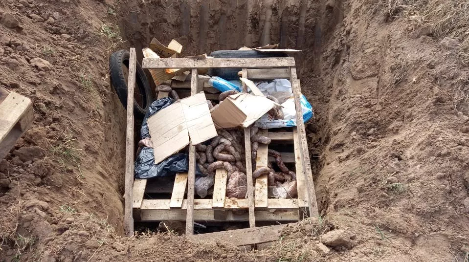 339791340_211481201488238_5586984467968747705_n