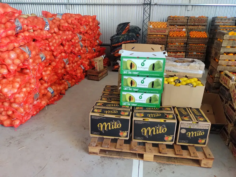 WhatsApp Image 2023-10-19 at 16.50.50