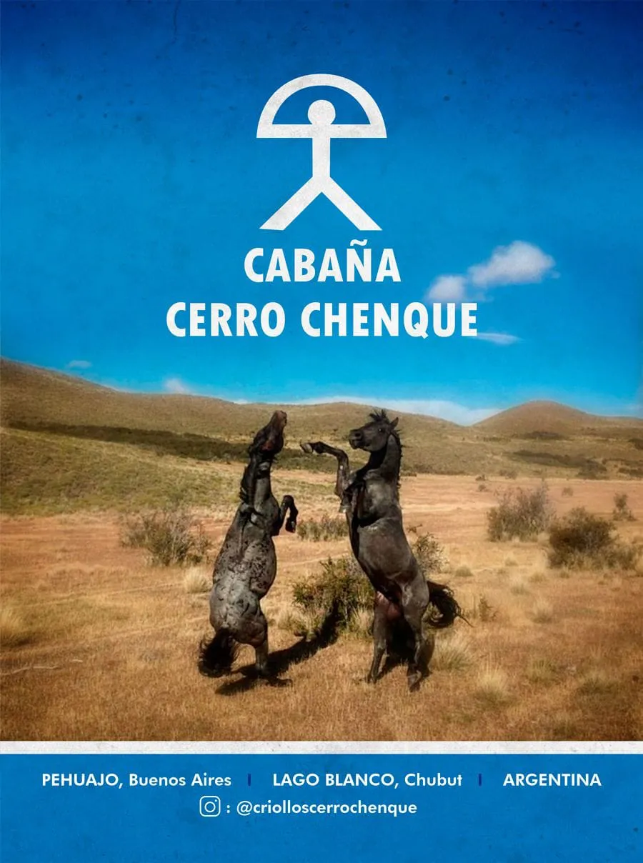 353621658_563570862590150_4766971543809351766_n