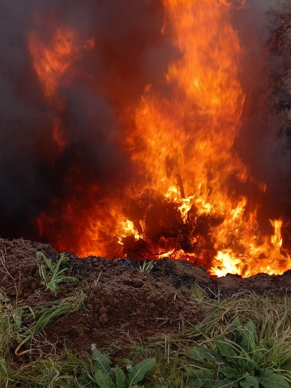 206713678_2994697124136393_272432111766234680_n