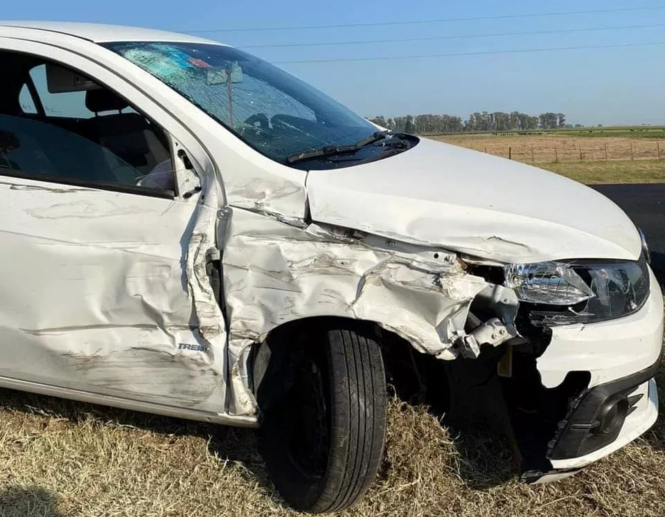 332660164_1258347221730072_7919729797839876215_n