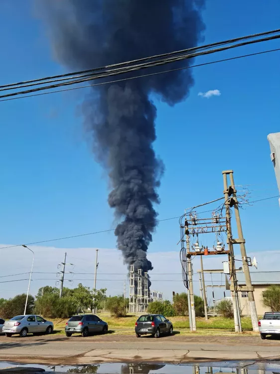 335016264_602404518106568_1446170895370230464_n