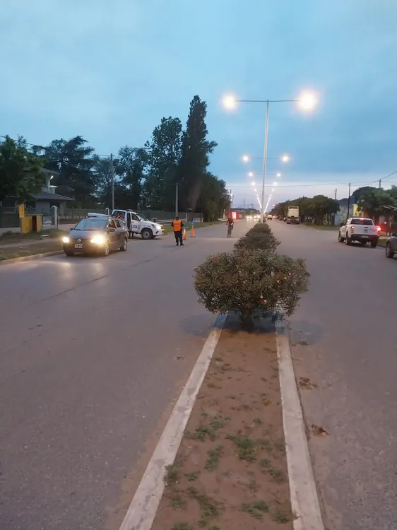 8a040793-7550-4551-8ce6-e2a15a59ec93