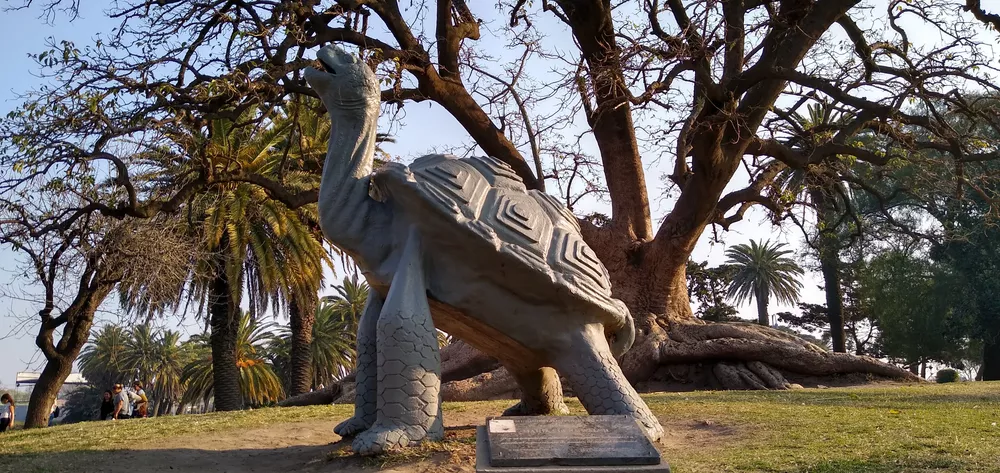 IMG_20210829_165515583_HDR