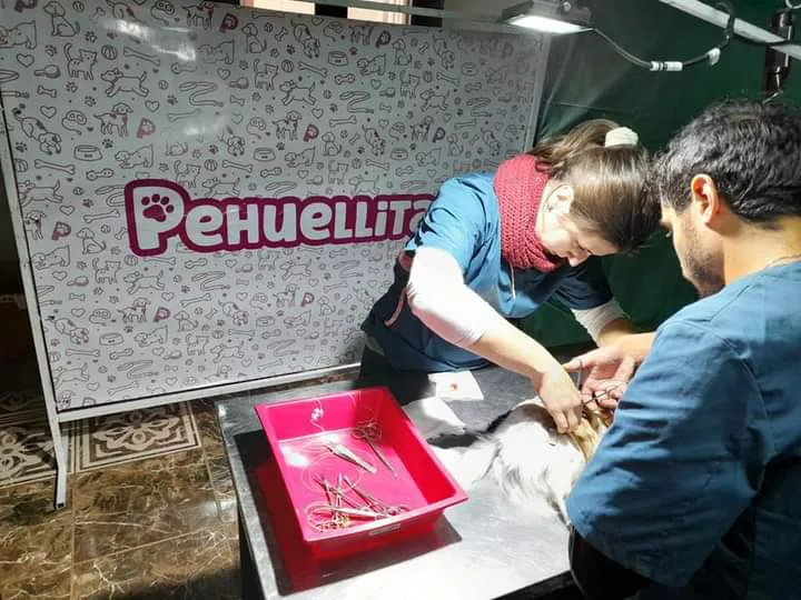 FB_IMG_1655169140199