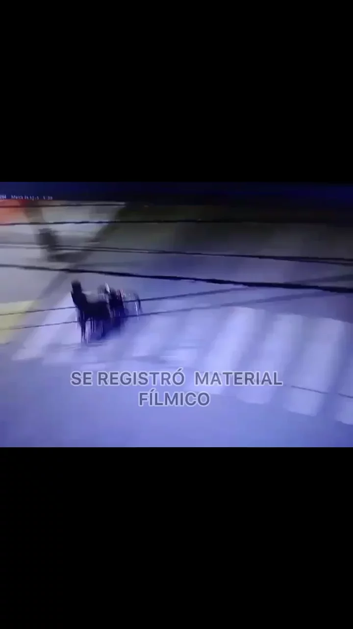 WhatsApp Video 2026-04-11 at 11.34.52