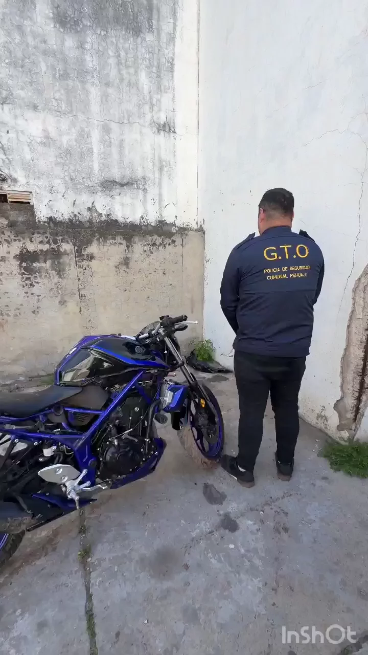 WhatsApp Video 2026-10-19 at 11.40.34