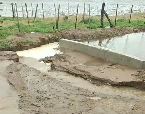 547963430_1333975538089614_607282367873637821_n