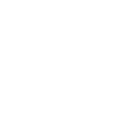 1029 (2)