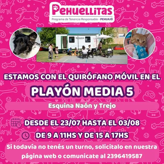 453540681_980808054086061_5228987006590489458_n