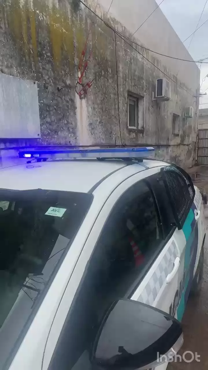 WhatsApp Video 2026-08-03 at 11.57.53