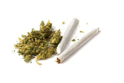 joints_shutterstock-52960849