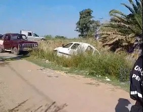 Captura de pantalla 2026-01-29 130210