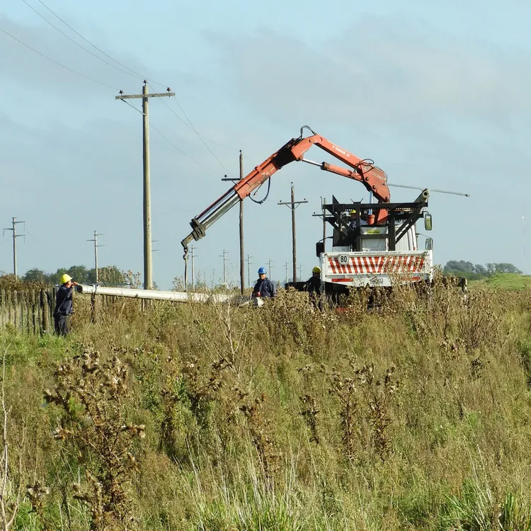 494166469_1263539389109640_4867713134513953230_n