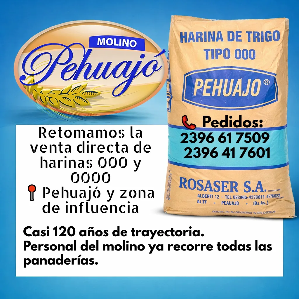 molino feed