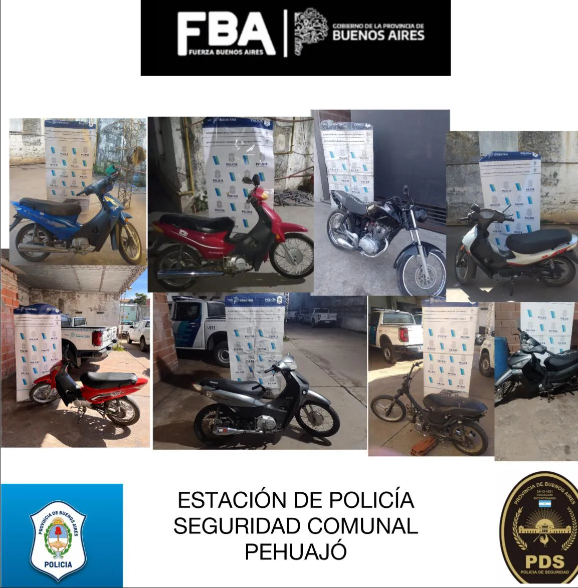 WhatsApp Image 2025-12-15 at 12.49.22 (1)