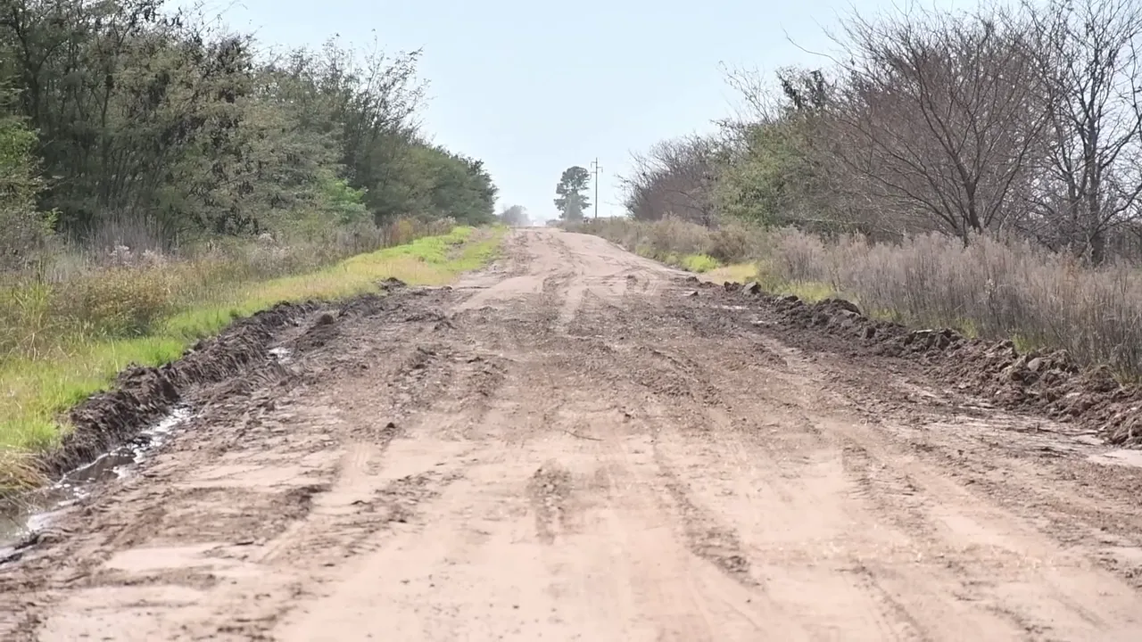 vlcsnap-2025-03-27-20h19m59s760